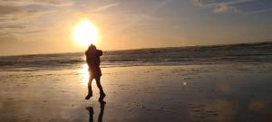 Maisons de vacances Le cottage sauvage : photos des chambres