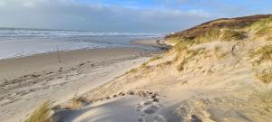 Maisons de vacances Le cottage sauvage : photos des chambres