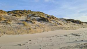 Maisons de vacances Le cottage sauvage : photos des chambres