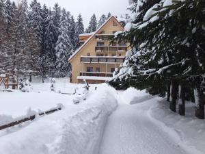 Apartmán Ingrid - Spie?ovec