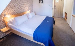 Deluxe Double Room room in HOTEL Hraniční zámeček