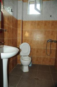 Borjomi Guesthouse Sadgeri