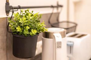 Historical building Brody Apartment