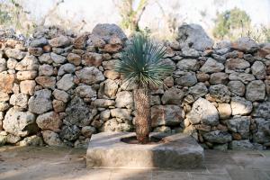 Il Cubetto- a cute mini house in olive grove