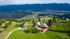 Apartment Skala with Magnificent view