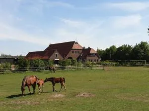 Camping Eefting - Delfstrahuizen