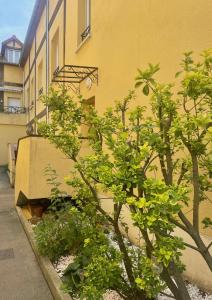 Appartements Maison-Triplex rare avec jardin JO2024 : photos des chambres