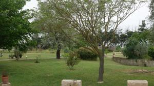 Appartements Mas Maurane - Le Romarin aux portes d'ARLES : photos des chambres