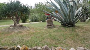 Appartements Mas Maurane - Le Romarin aux portes d'ARLES : photos des chambres