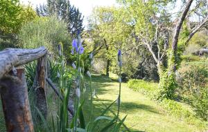 Awesome Apartment In Paciano With Wifi