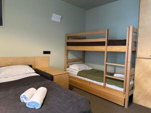 One Room Apartment in Rooms Hotel Kokhta, Bakuriani