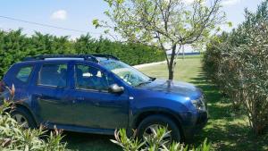 Maisons de vacances Mas Maurane - L'Olivier avec SPA prive aux portes d'ARLES : Mobile Home