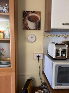 In the Heart of Turin