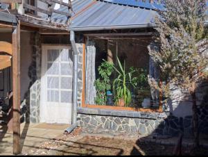 Vila Dedo Liben