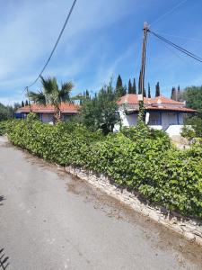 Giannis House 2 minutes walk to the beach Peroulia