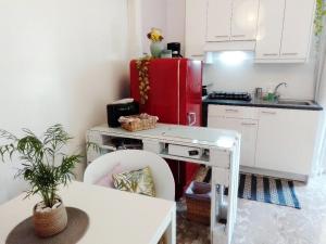 City Oasis Apartment