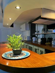 Grand studio bord de mer