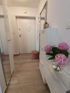 Apartment & Room Pajolo