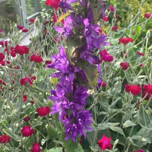 Ferienhaus am Teutoburger Wald