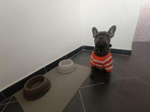 La Casa del Capo - appartamento con 2 camere.