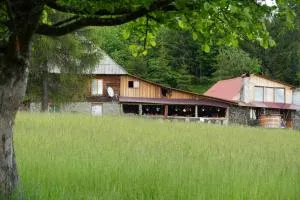 Cabana Virful Muntelui - Baba