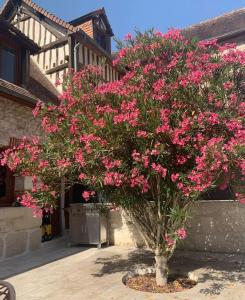 Maisons de vacances Belle propriete en bord de Seine : photos des chambres