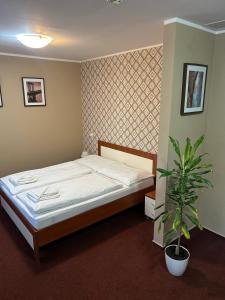 Hotel 21