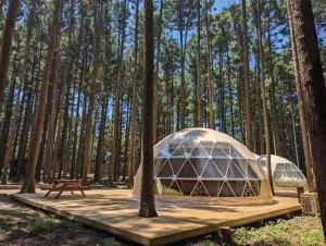 Akagi Tokiwa Forest Campsite - Vacation STAY 84739v - Ōsaki