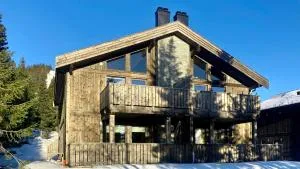 Modern ski-in out apartment at Sjusjøen - Mesnali