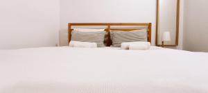 Chill and Fun - Matosinhos - ONLY ROOM