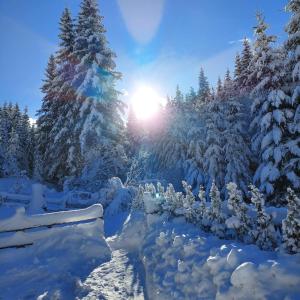 Ferienhaus Sophia & Ilse