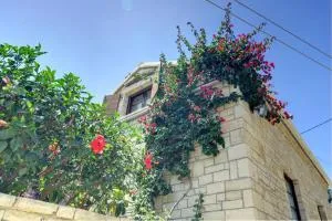 Studio Petrino - A holiday nest! - Velianitátika