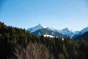 Naturapartments Alpbach - Alpin Bio Deluxe