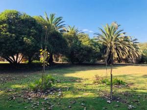 Cabañas en la naturaleza a pasos de la Playa