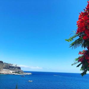 APARTMENT WITH OCEAN VIEW
