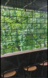 Hollys Casa Homestay