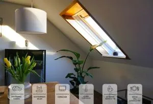 Vogelnest - Botenheim