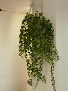 Appartement Proche U Arena et La Défense