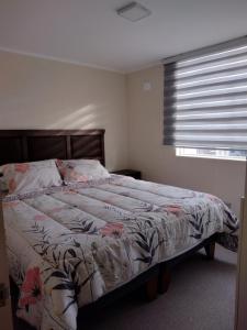Departamento Villarrica