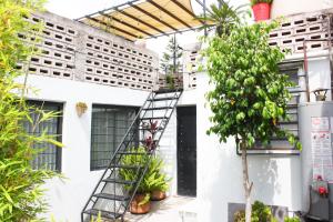 Beguest Centro Concerts & Events