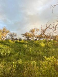 Loma de las Maravillas 2