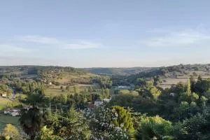 The Street of the Singing Bird. - Monplaisant