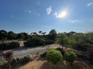 Appartements Appartement Les Sables-d-Olonne, 2 pieces, 4 personnes - FR-1-485-159 : photos des chambres