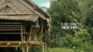 Nhà 1 Phòng Ngủ (One-Bedroom House)