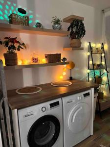 Le petit cocon de Kintana -Disney-Parking