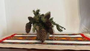 Петриківка