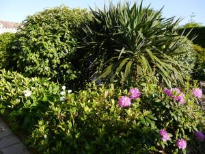 B&B / Chambres d'hotes Une Escale a Pornic chambres d'hotes 4 epis : photos des chambres