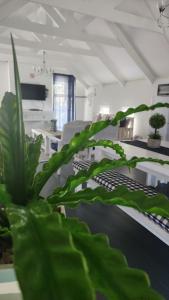 Be Our Guest Self Catering