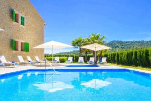 Villa Palmeral in Petra