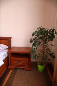 Котедж у Карпатах